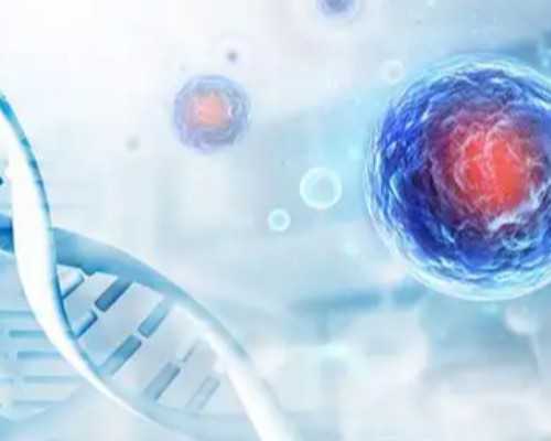 2026年广州第三代试管婴儿医院排名及辅助生殖助孕技术优势全解析
