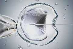 2026年第三代试管婴儿检测报告需要等多久？深度解读PGT技术的医学含义