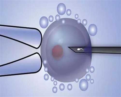 深度解析精子获能：人工试管代怀服务中的关键生物学步骤