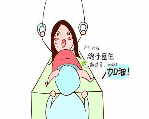 2026年广州试管婴儿与辅助生殖指南：深度解析代生代怀流程及供卵现状
